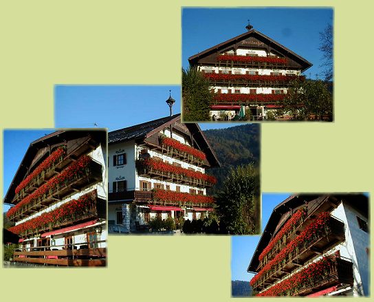 Blumemneer am Breitenhof in Thiersee, Tirol